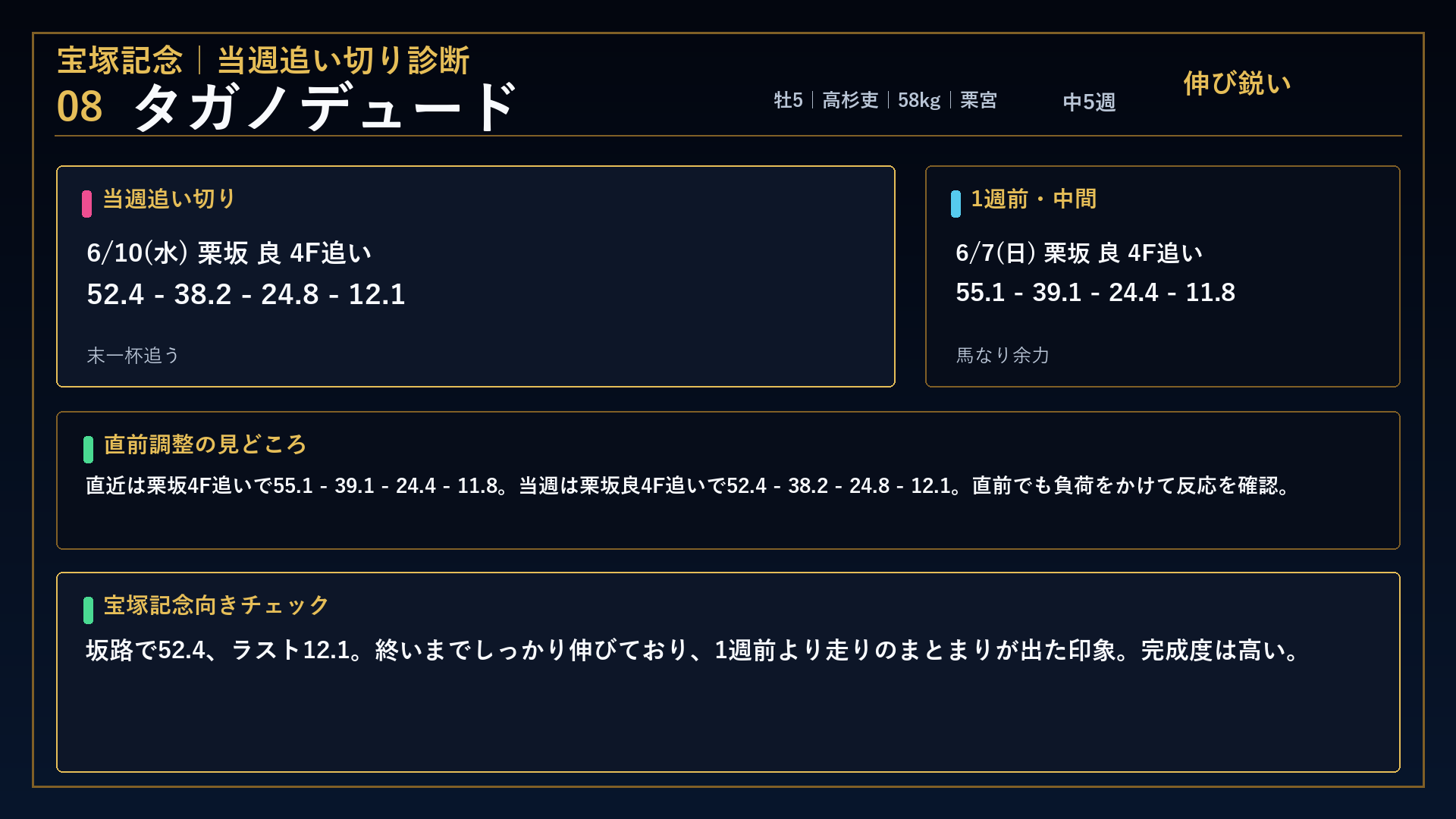 宝塚記念 タガノデュード