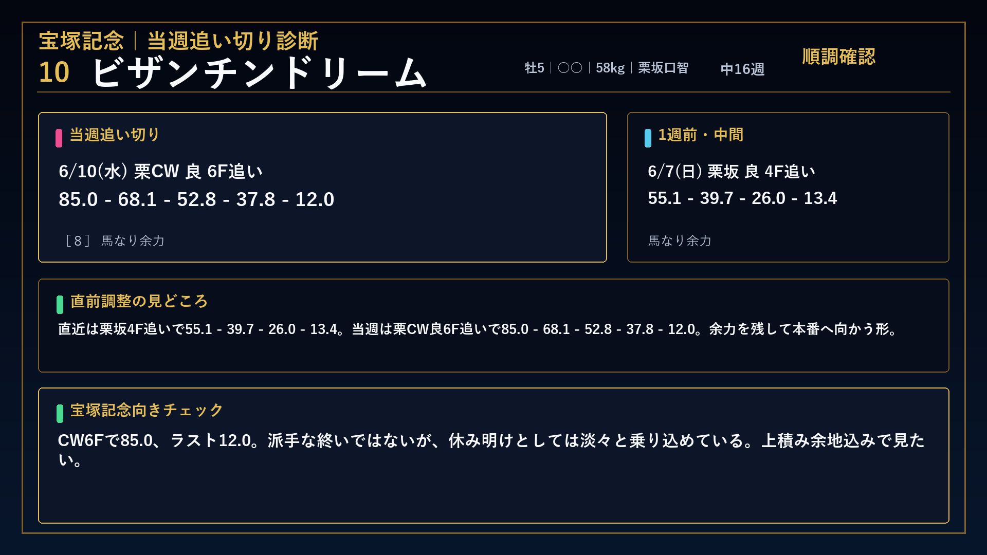 宝塚記念 ビザンチンドリーム
