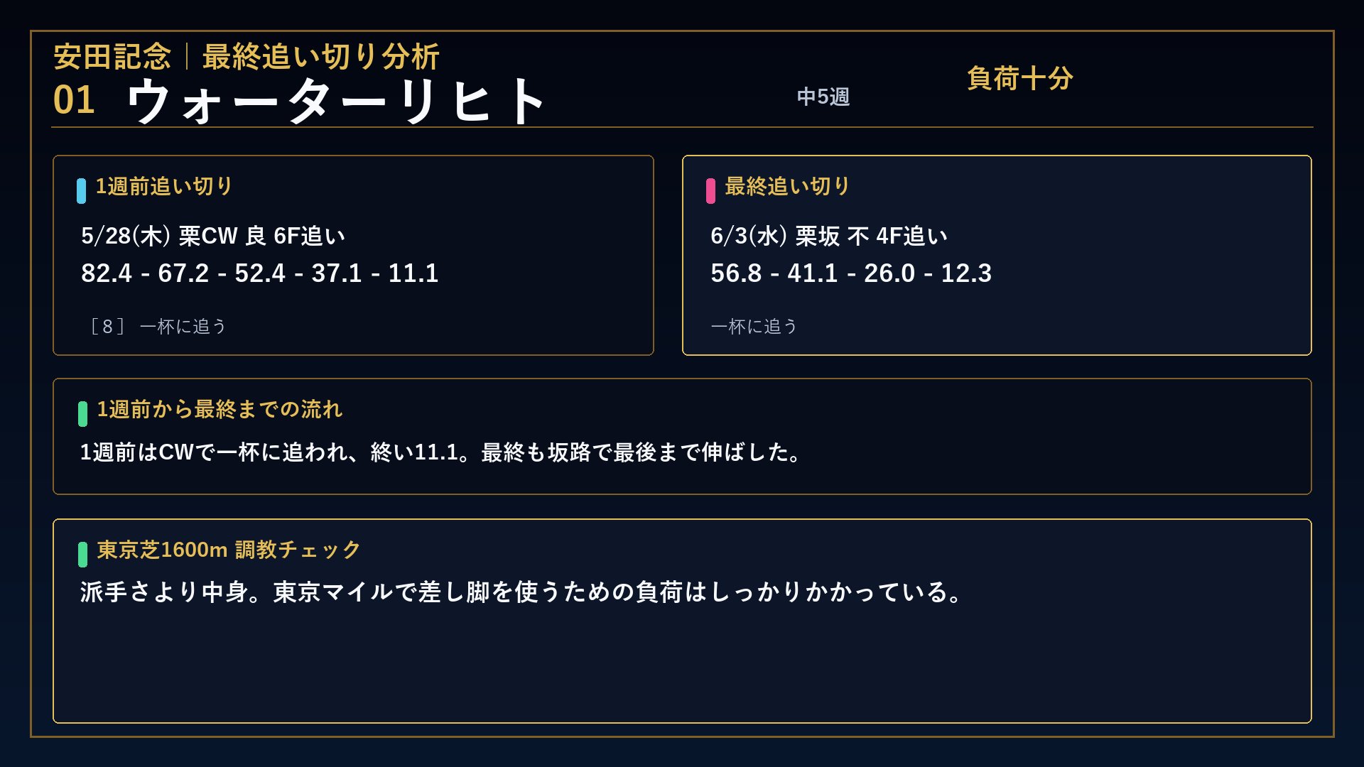 安田記念 ウォーターリヒト
