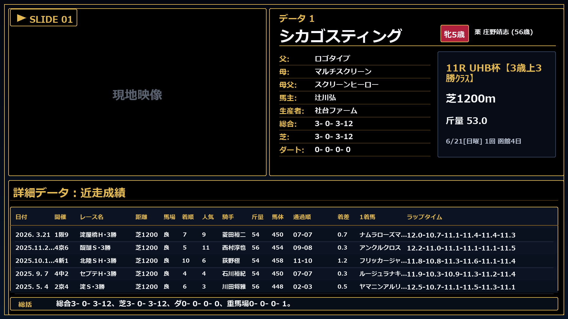 シカゴスティング プロフィール