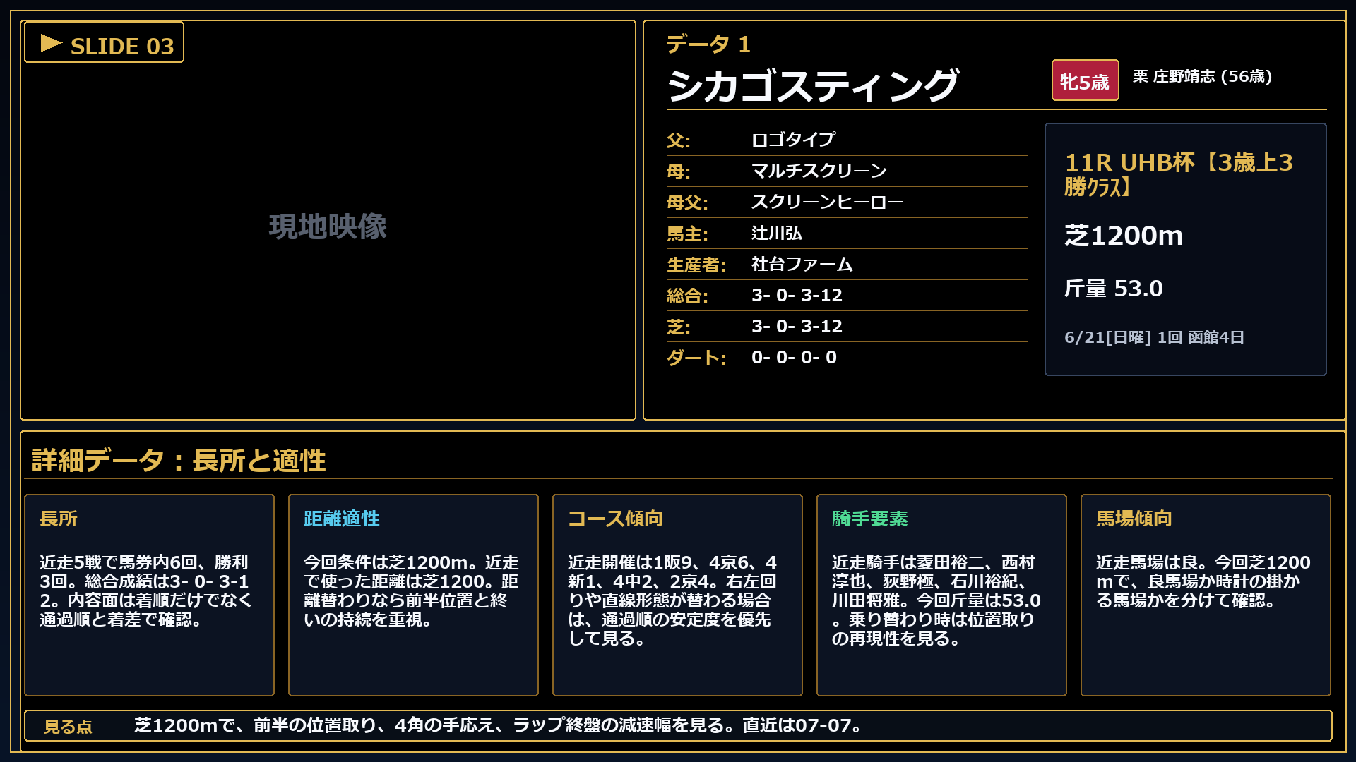 シカゴスティング 長所と課題