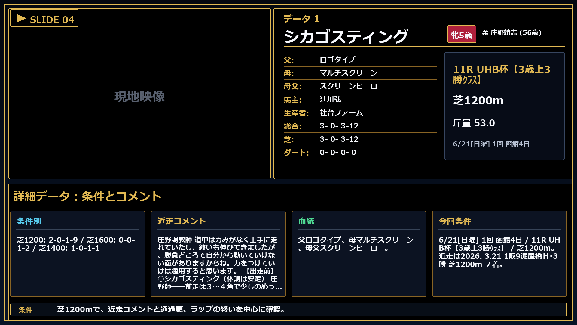 シカゴスティング 条件とコメント