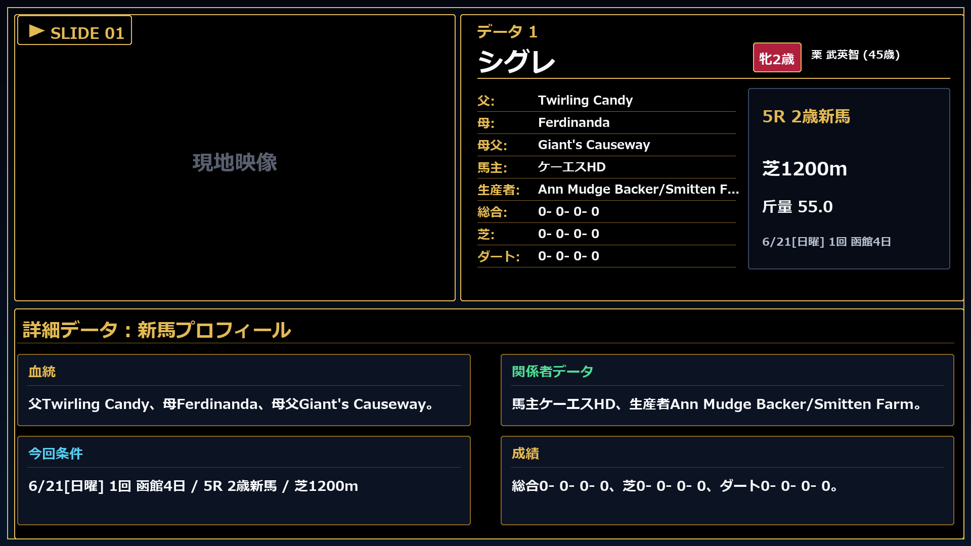 シグレ プロフィール