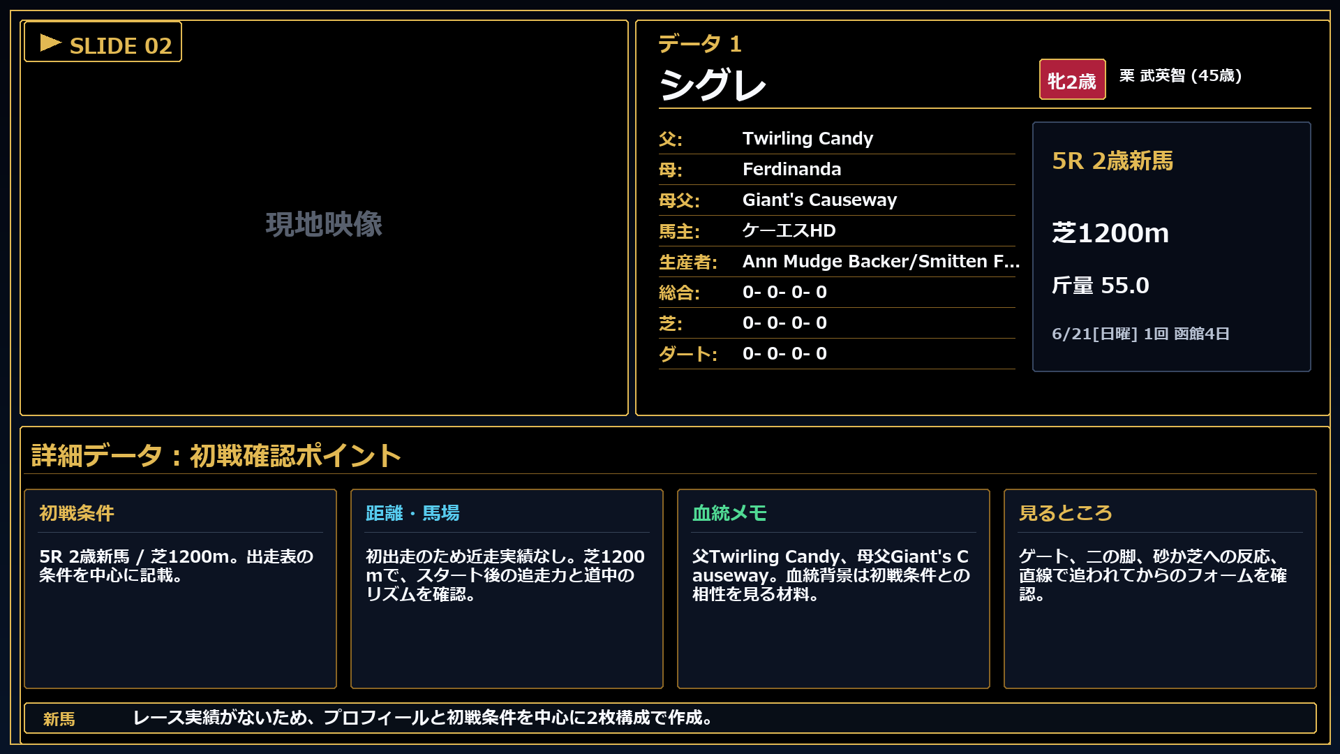 シグレ レースコメント