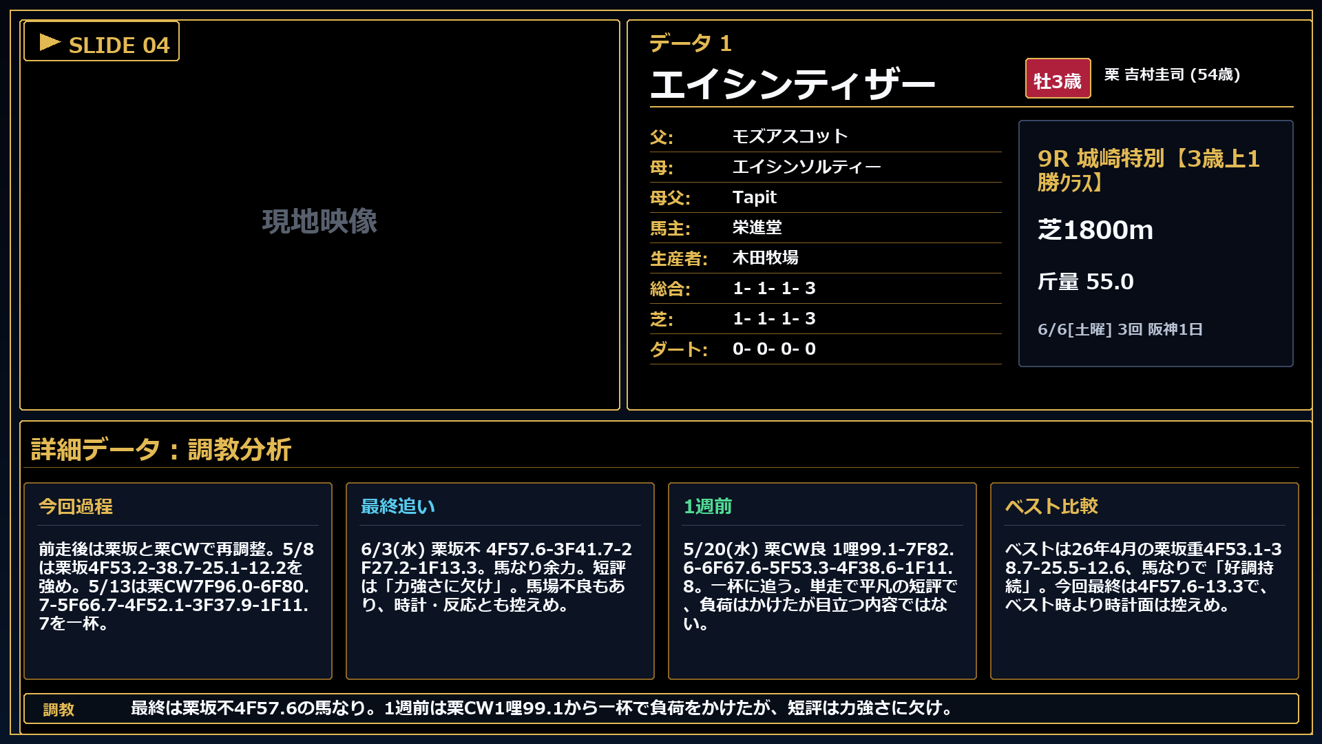 エイシンティザー 条件とコメント