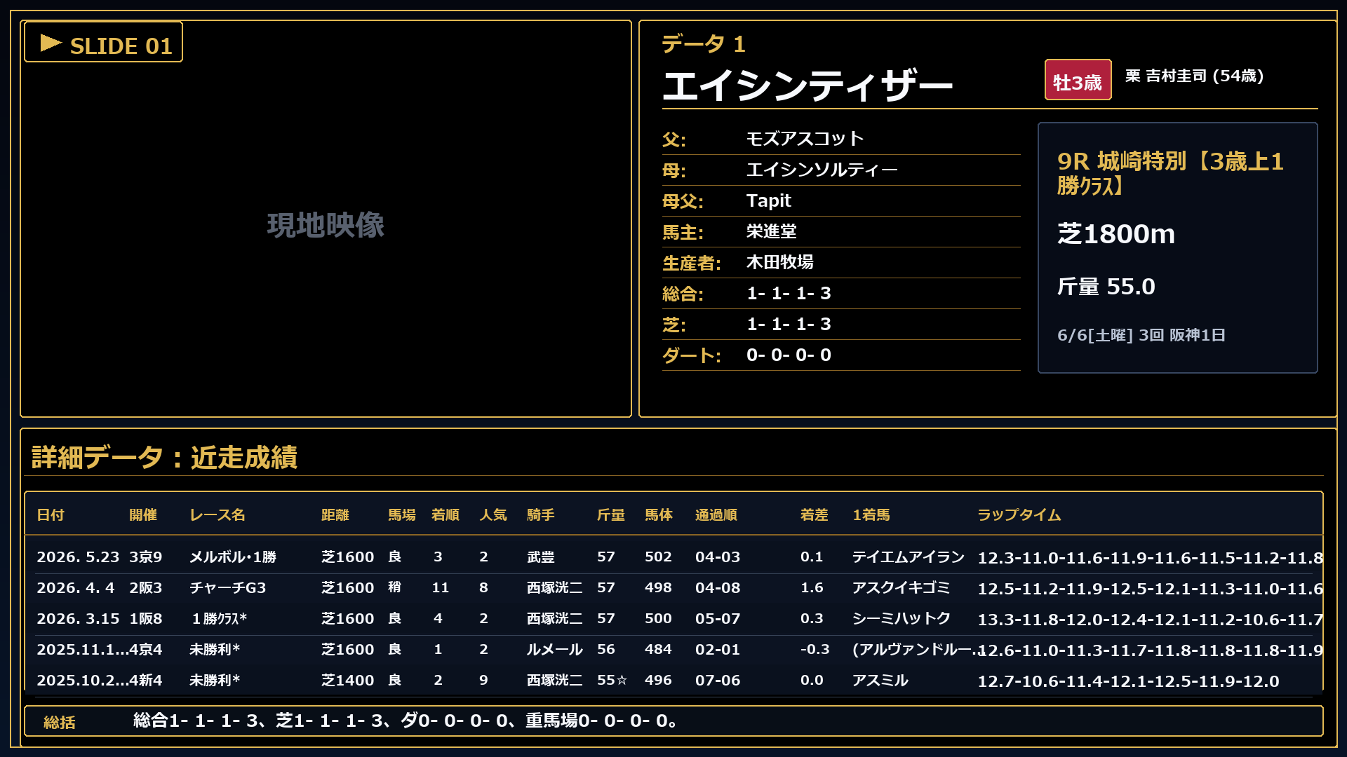 エイシンティザー プロフィール