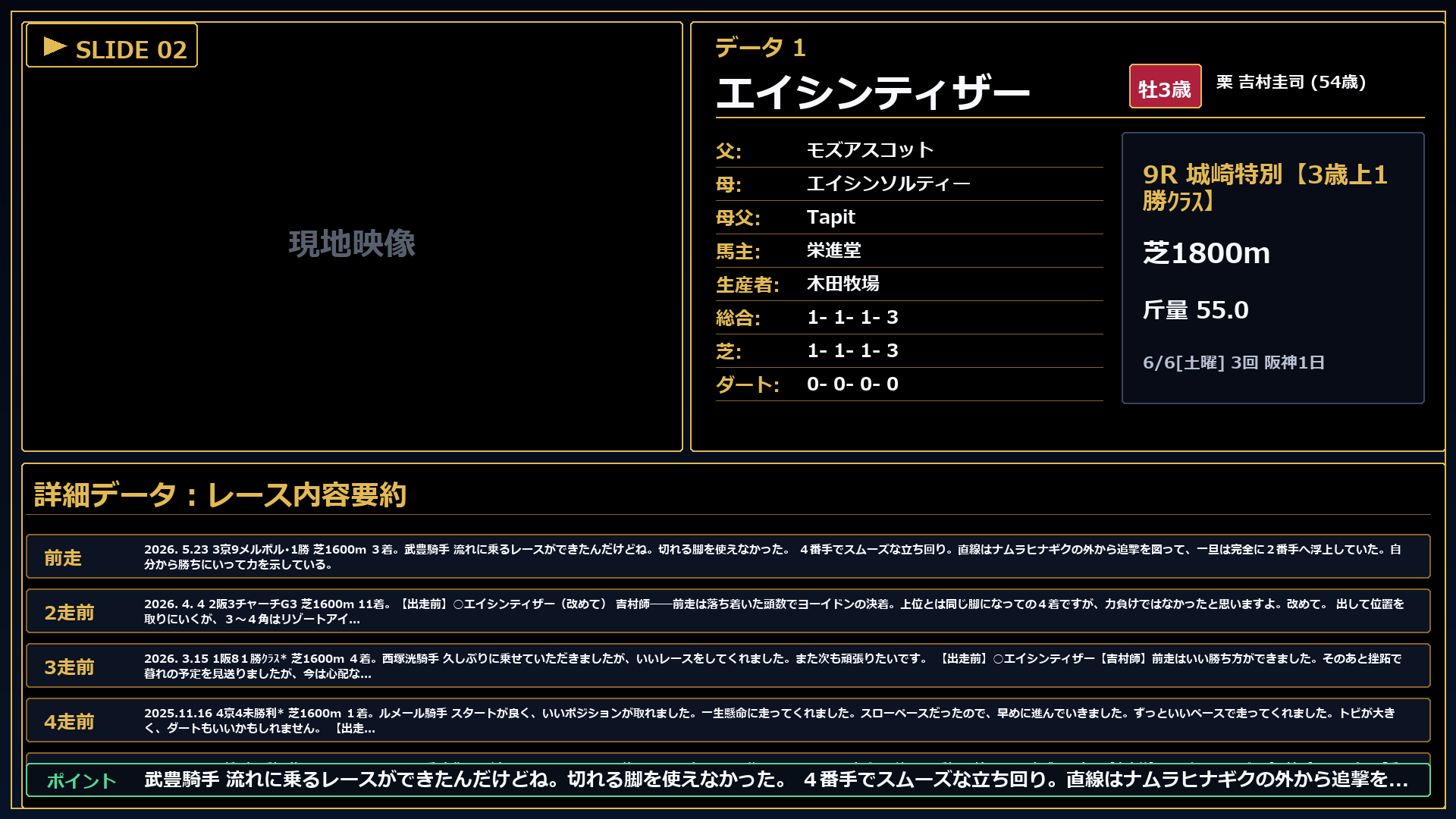 エイシンティザー レースコメント