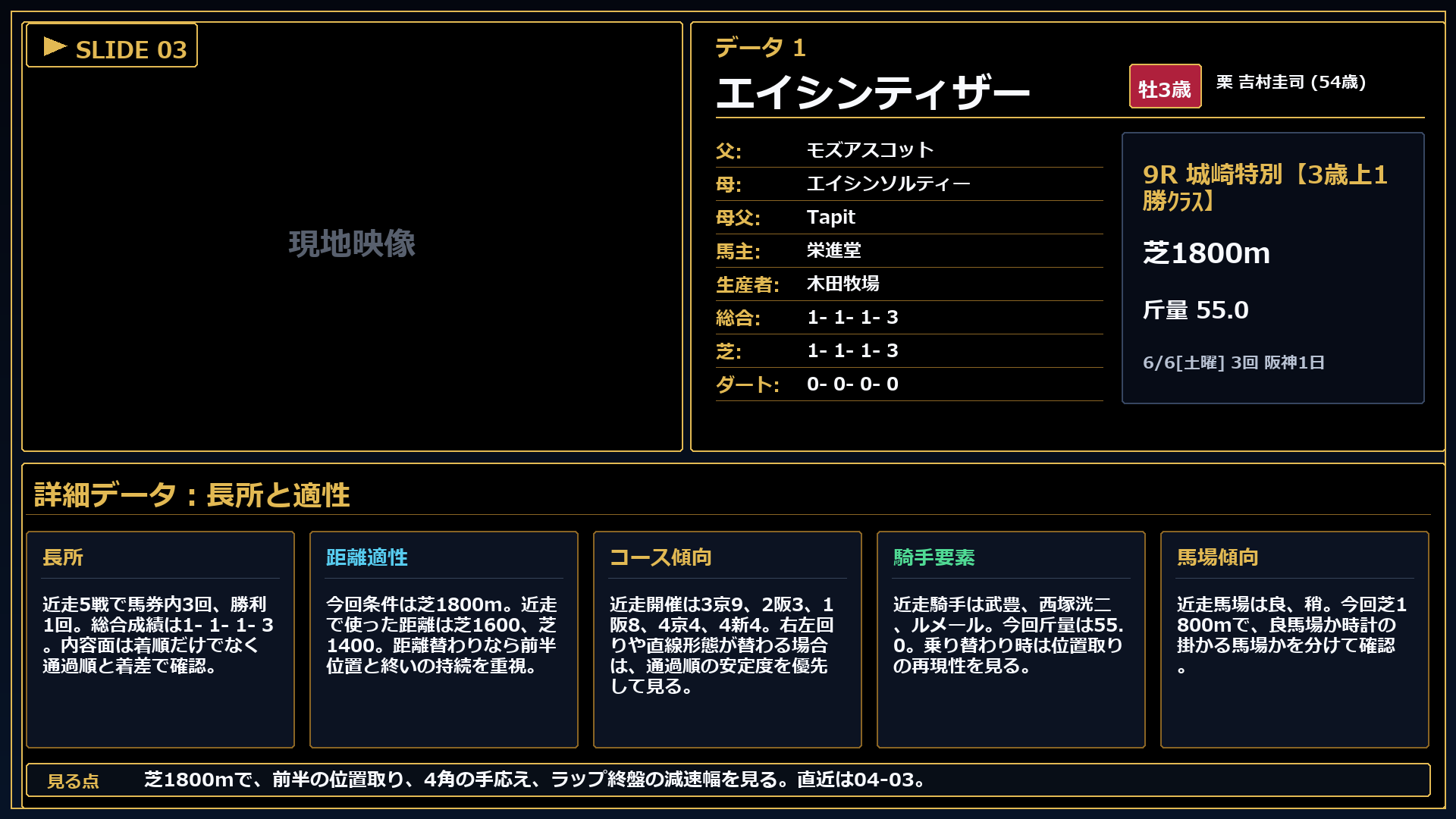 エイシンティザー 長所と課題