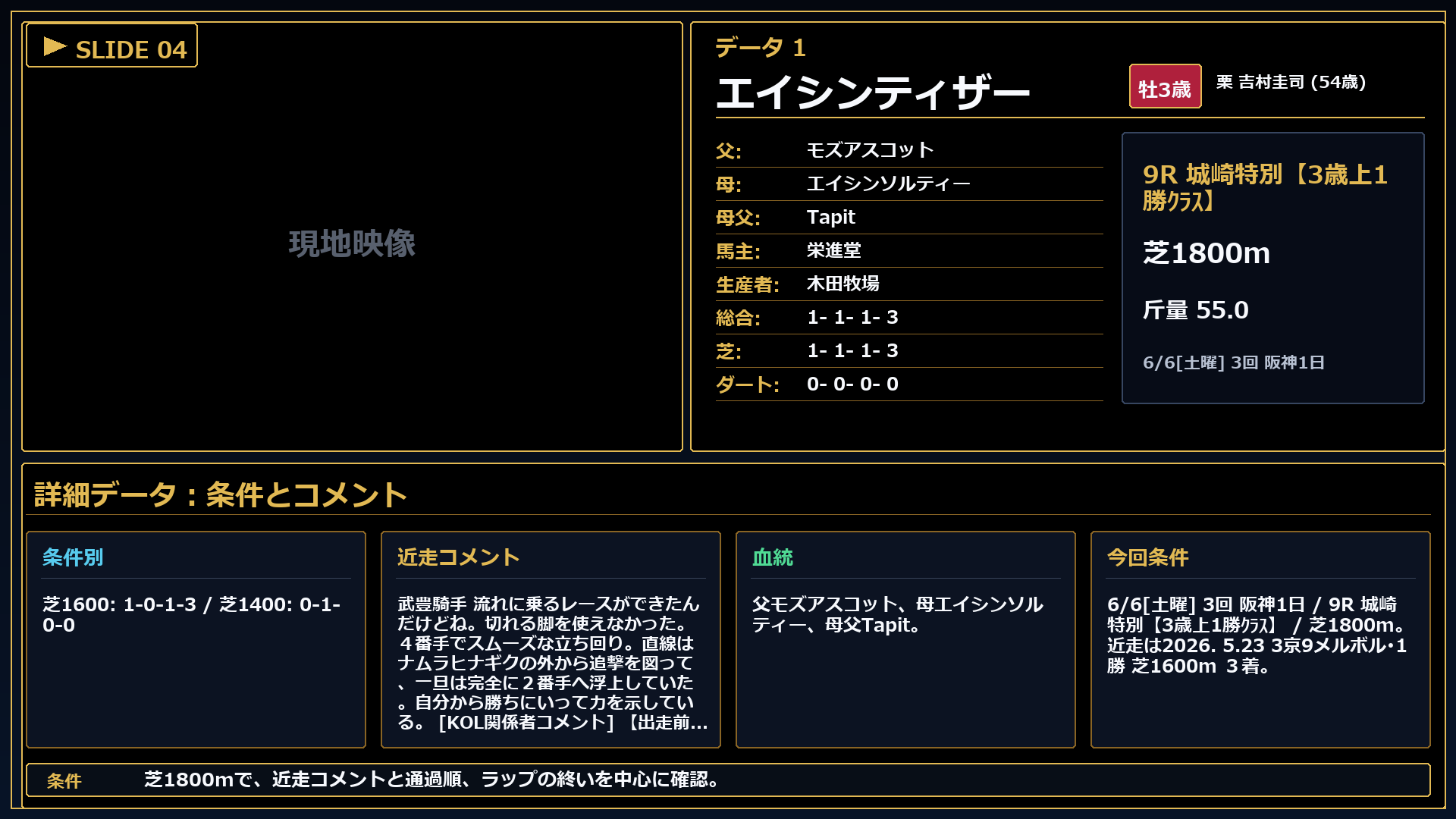 エイシンティザー 条件とコメント