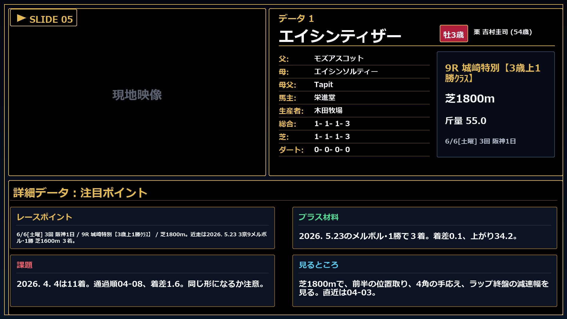 エイシンティザー 注目ポイント