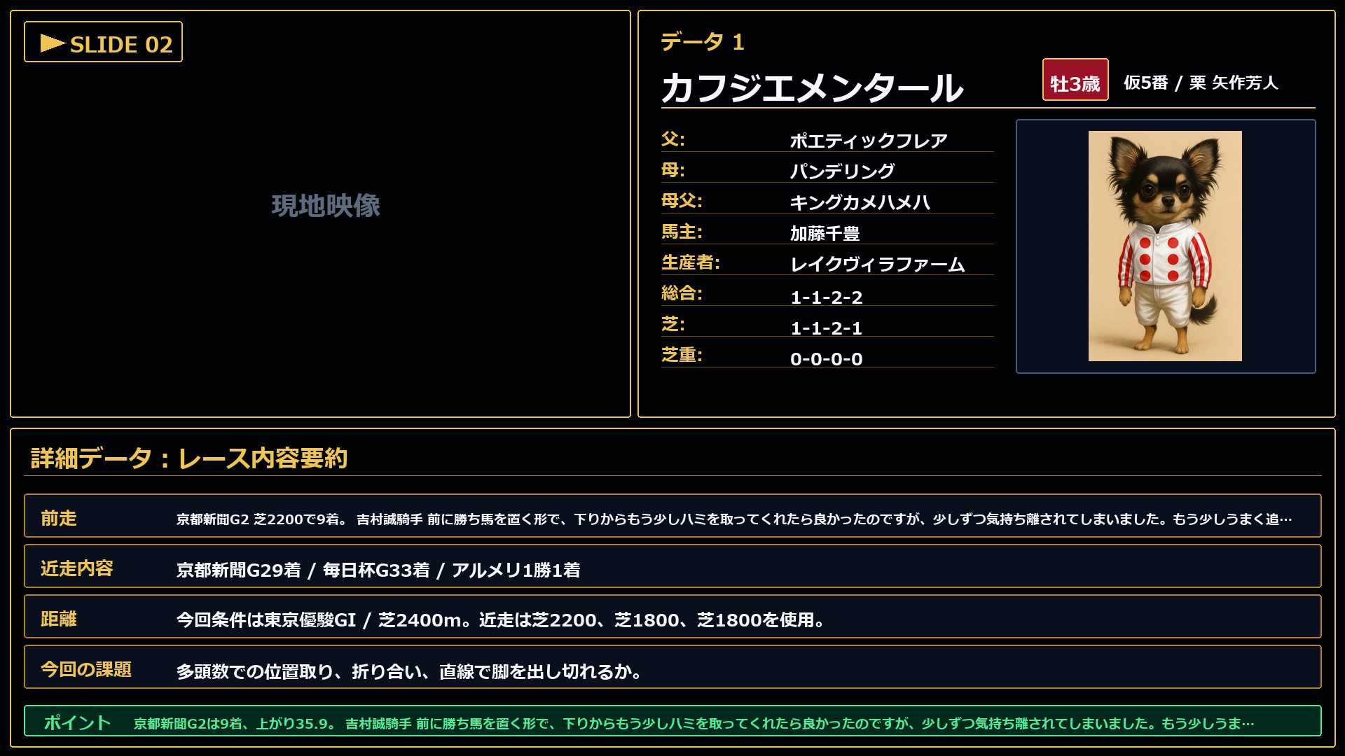 カフジエメンタール レースコメント
