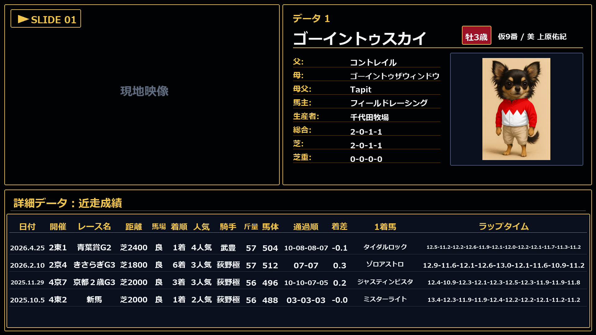ゴーイントゥスカイ プロフィール