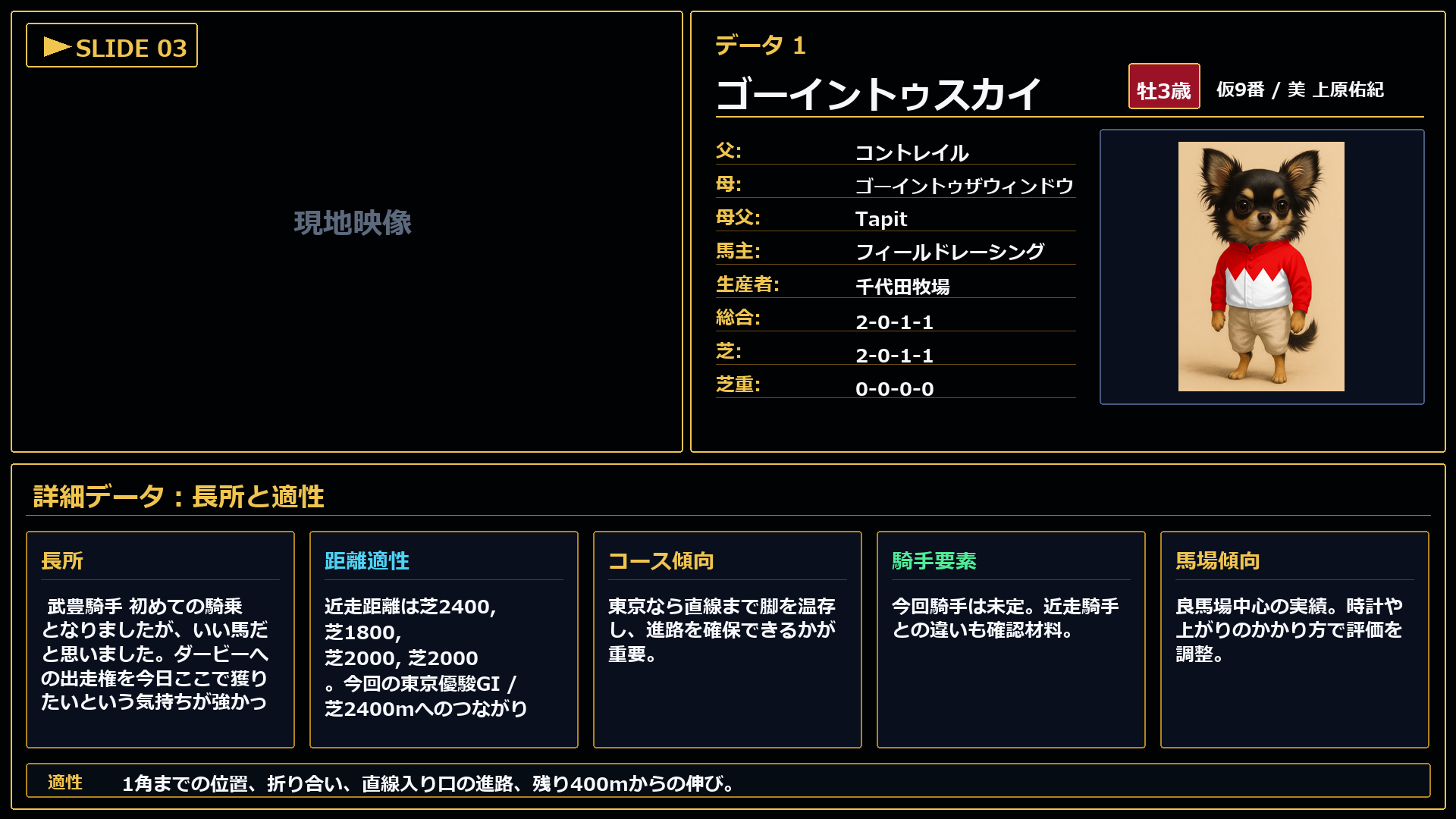 ゴーイントゥスカイ 長所と課題