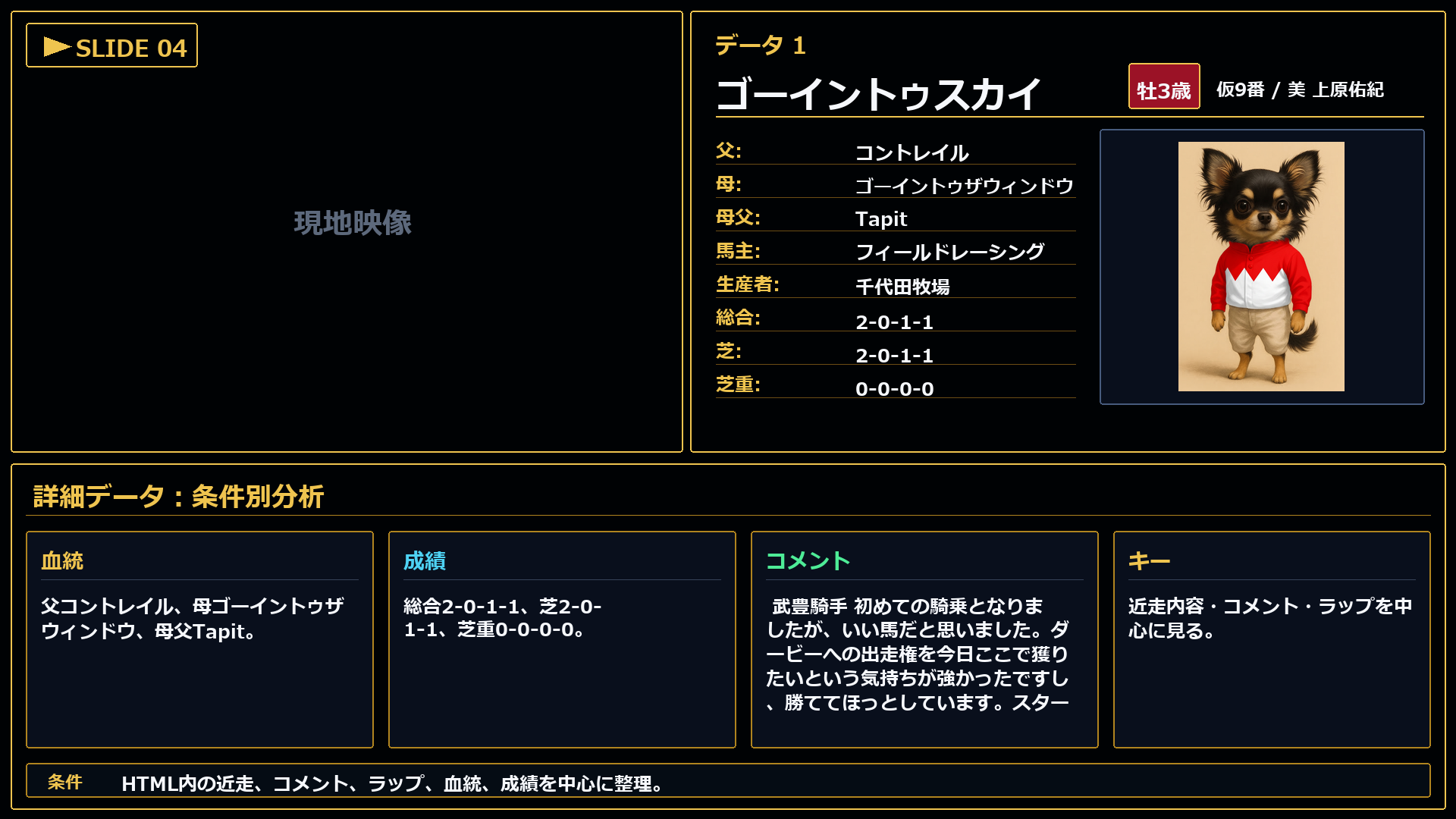 ゴーイントゥスカイ 条件とコメント