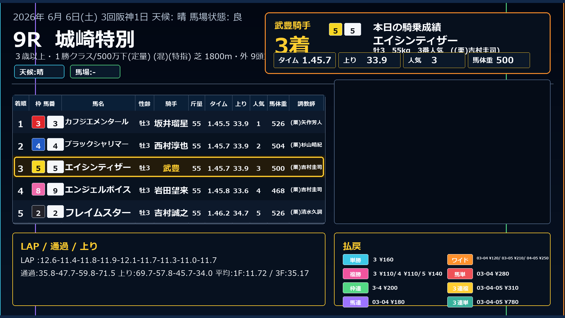 エイシンティザー レース結果 6/6 阪神9R